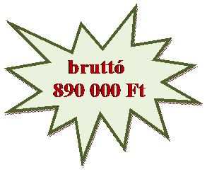 Robban�s 1:    brutt�
890 000 Ft
